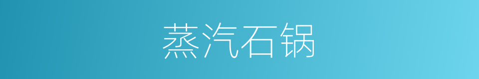 蒸汽石锅的同义词