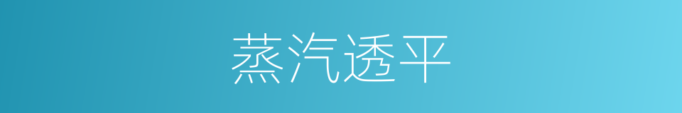 蒸汽透平的同义词