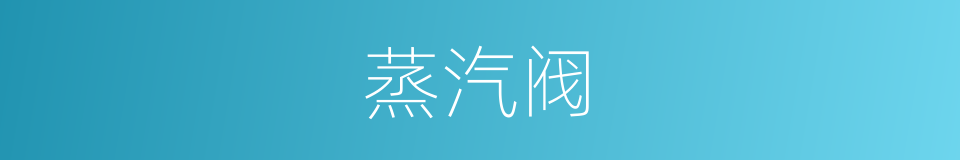 蒸汽阀的同义词