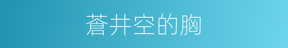 蒼井空的胸的同義詞
