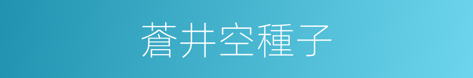 蒼井空種子的同義詞