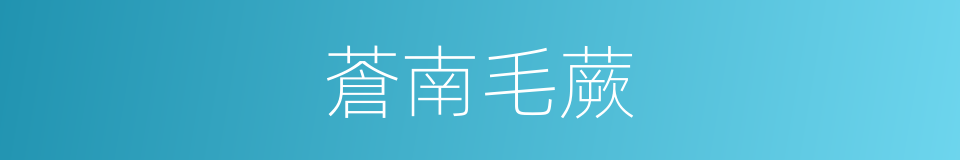 蒼南毛蕨的同義詞