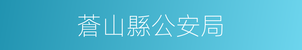 蒼山縣公安局的同義詞