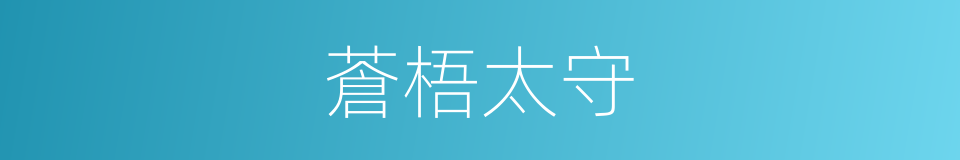 蒼梧太守的意思