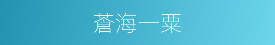 蒼海一粟的意思