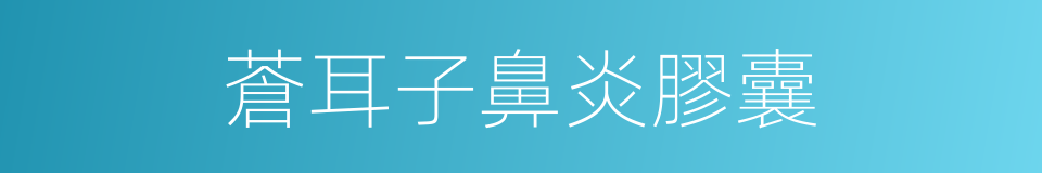 蒼耳子鼻炎膠囊的同義詞