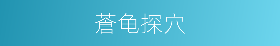 蒼龟探穴的意思