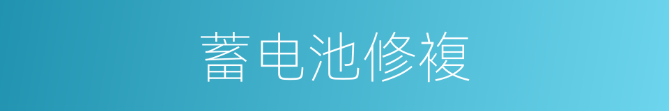 蓄电池修複的同义词