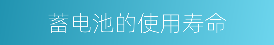 蓄电池的使用寿命的同义词