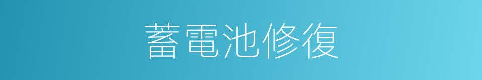 蓄電池修復的同義詞