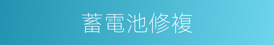 蓄電池修複的同義詞