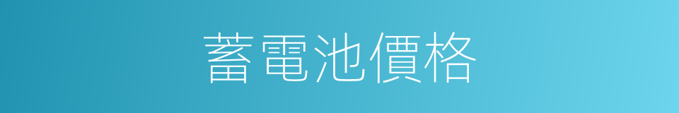 蓄電池價格的同義詞