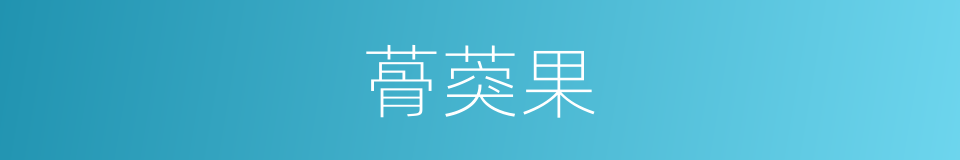 蓇葖果的同义词