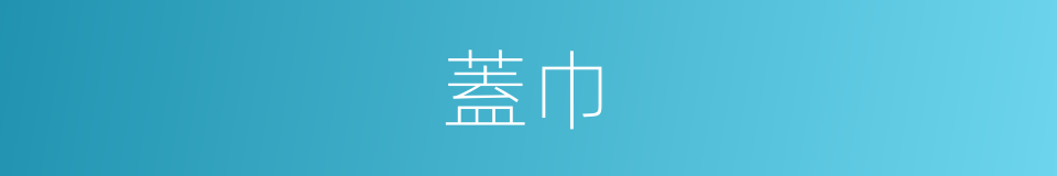 蓋巾的意思
