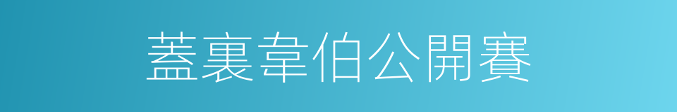 蓋裏韋伯公開賽的同義詞