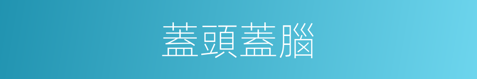蓋頭蓋腦的意思