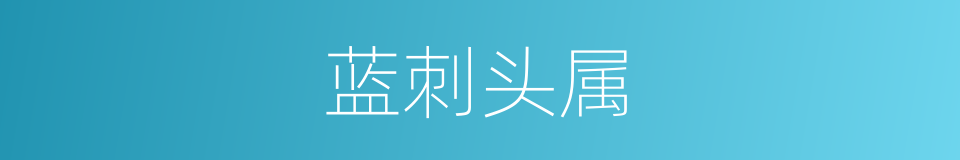 蓝刺头属的同义词