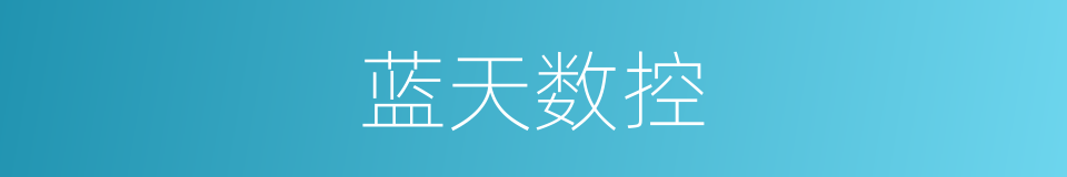 蓝天数控的同义词