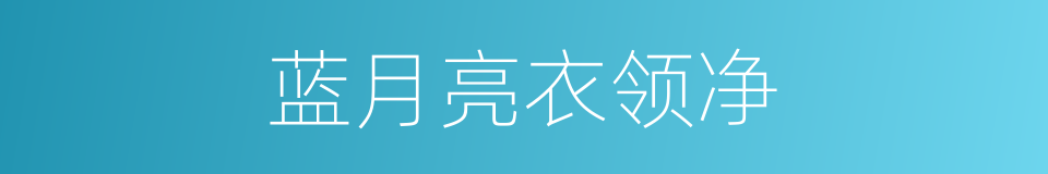 蓝月亮衣领净的同义词