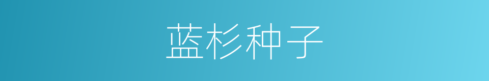蓝杉种子的同义词