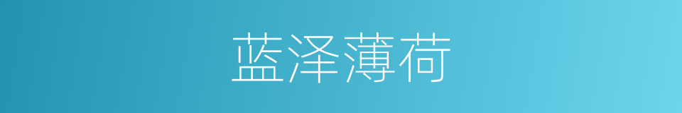 蓝泽薄荷的同义词