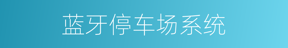 蓝牙停车场系统的同义词