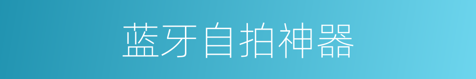 蓝牙自拍神器的同义词