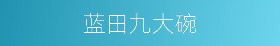 蓝田九大碗的同义词