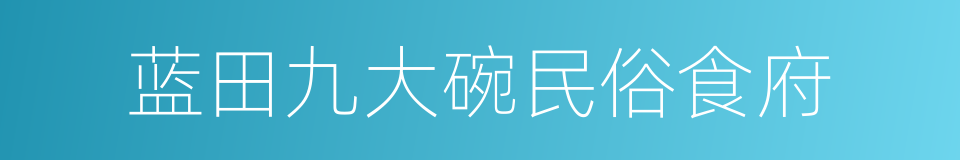 蓝田九大碗民俗食府的同义词