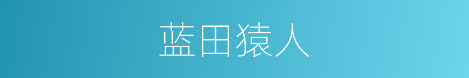 蓝田猿人的意思