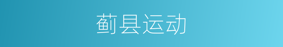 蓟县运动的同义词