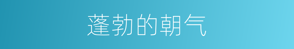 蓬勃的朝气的同义词