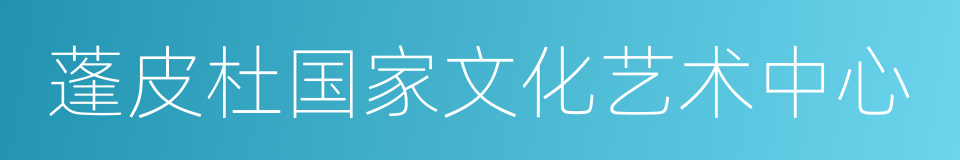 蓬皮杜国家文化艺术中心的同义词