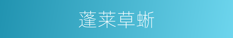 蓬莱草蜥的同义词