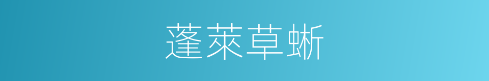 蓬萊草蜥的同義詞