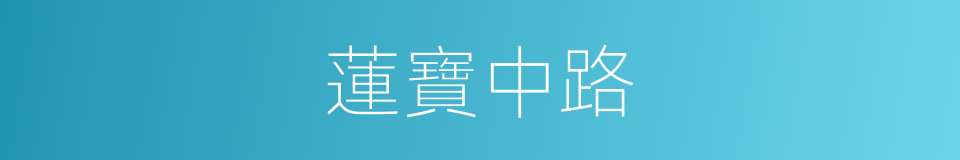 蓮寶中路的同義詞