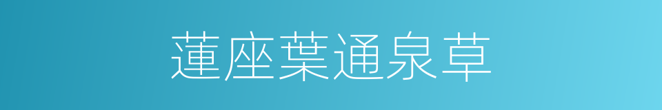 蓮座葉通泉草的同義詞