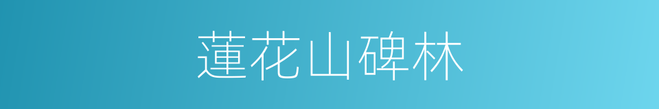 蓮花山碑林的同義詞