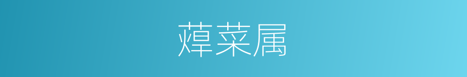 蔊菜属的同义词