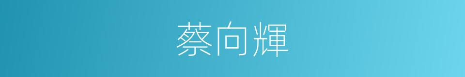 蔡向輝的同義詞