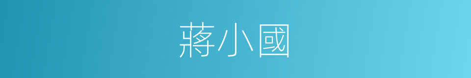 蔣小國的意思