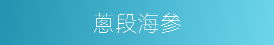 蔥段海參的同義詞