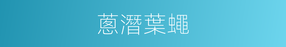 蔥潛葉蠅的同義詞