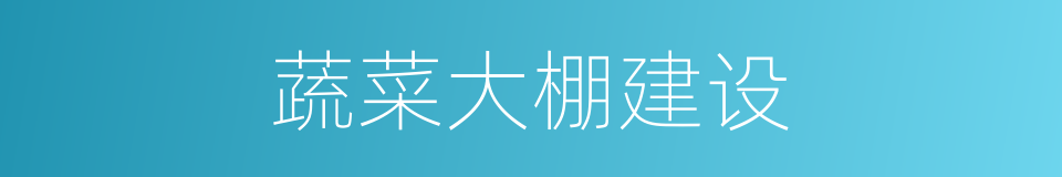 蔬菜大棚建设的同义词