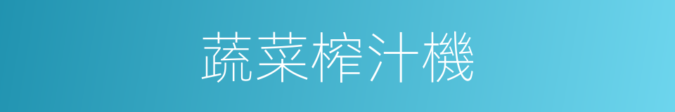 蔬菜榨汁機的同義詞