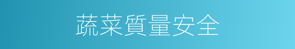 蔬菜質量安全的同義詞