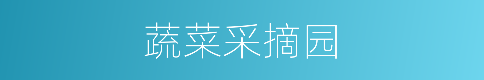 蔬菜采摘园的同义词