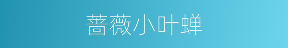 蔷薇小叶蝉的同义词