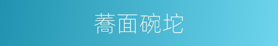 蕎面碗坨的同義詞