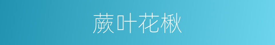 蕨叶花楸的同义词